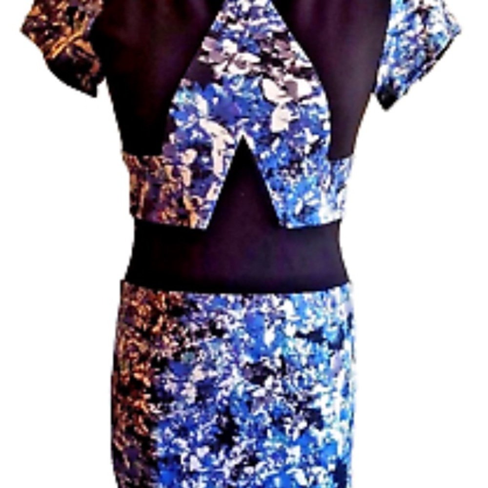 Parker Creekside Blue Floral Color Block Dress